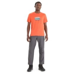 Icebreaker MEN HIKE PANTS Herren - Trekkinghose -Icebreaker Verkäufe 5638009133 m men hike pants icebreaker 24